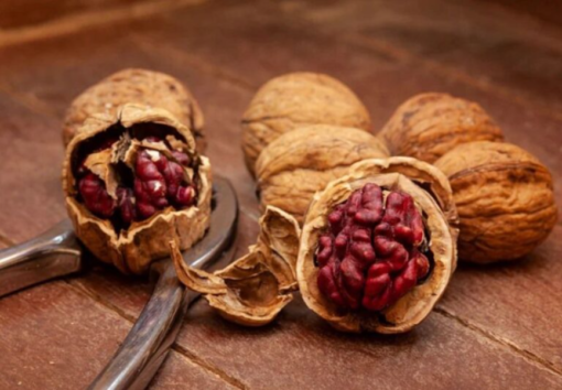 Hạt óc chó đỏ