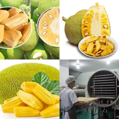 Quy Trình Công Nghệ Sản Xuất Mít Sấy – Từ Trái Cây Tươi Đến Đặc Sản Giòn Ngon 3 quy trình công nghệ sản xuất mít sấy